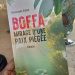 «BOFFA, MIRAGE D’UNE PAIX PIÉGÉE» : l’écrivain Moustapha Djiba met la lumière sur le drame de Boffa Bayotte