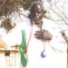 Ordre national du Lion : la Nation rend hommage à Ambroise Sarr ce jeudi