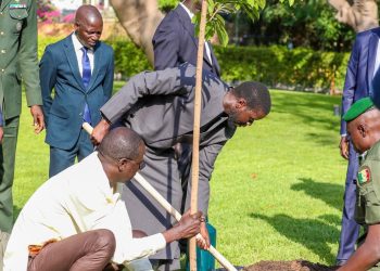 Journée mondiale de l’Environnement : comment le président Bassirou  Diomaye Faye l’a célébrée