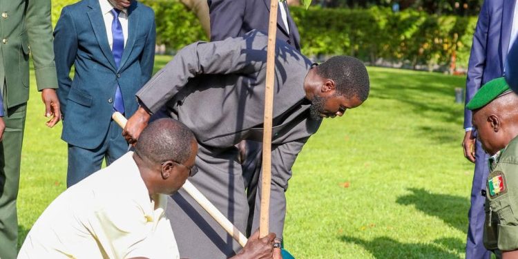 Journée mondiale de l’Environnement : comment le président Bassirou Diomaye Faye l’a célébrée