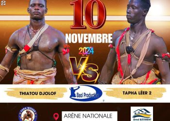Thiatou Djolof / Tapha Léer 2 le 10 novembre : le combat qui cristallise toutes les attentions