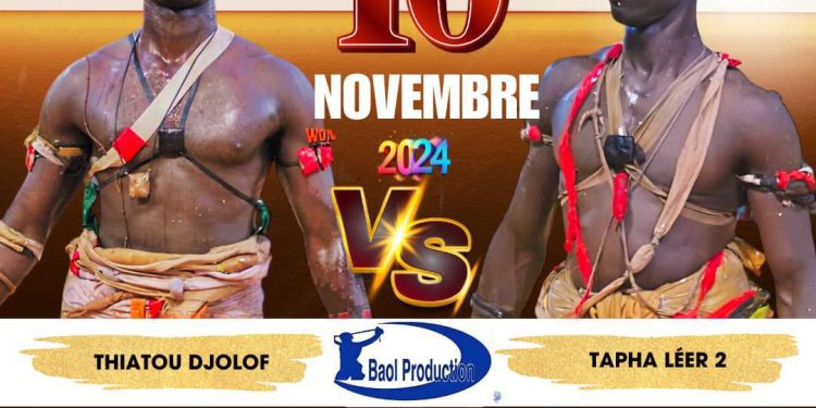 Thiatou Djolof / Tapha Léer 2 le 10 novembre : le combat qui cristallise toutes les attentions