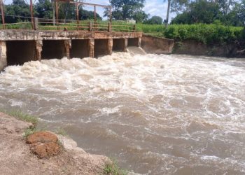 Sédhiou : Le pont de Diop Counda en rupture, la population lance un appel à l’aide