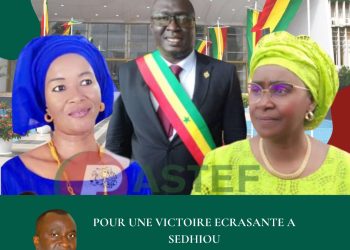 Législatives à Sédhiou : le mouvement Patriotisme et Progrès pour le Futur annonce son soutien à Pastef