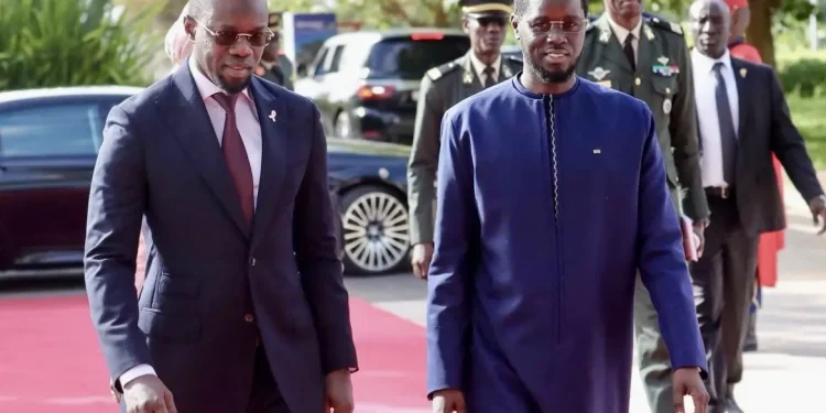 Pape Diakhaté, analyste politique : «Ceux qui misent sur un hypothétique divorce entre Sonko et Diomaye sont dans l’erreur»