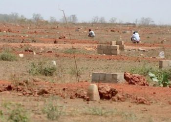 (Contribution) Pourquoi des sociétés et personnes étrangères accaparent nos terres sur des centaines de milliers d&rsquo;hectares ?