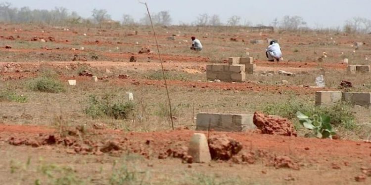 (Contribution) Pourquoi des sociétés et personnes étrangères accaparent nos terres sur des centaines de milliers d’hectares ?
