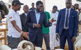 Les dépenses fallacieuses lors des fêtes religieuses : un piège moderne au goût de tradition (par Ndiamba Mané)