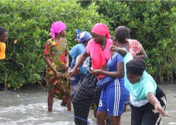 Sédhiou : Une mobilisation citoyenne pour la santé humaine, animale et environnementale dans la commune de Djiredji