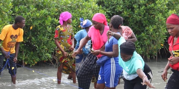 Sédhiou : Une mobilisation citoyenne pour la santé humaine, animale et environnementale dans la commune de Djiredji