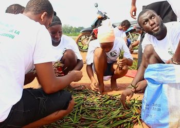 Tensions internes au sein de Green Sédhiou — Appel à la transparence et à la démocratie