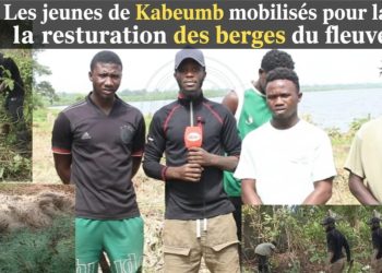 Sédhiou : Les jeunes de Kabeumb mobilisés pour la restauration des berges du fleuve